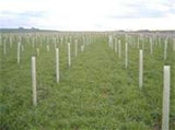 Corrugated Tree Protectors sold in bulk quantities for large tree plantings.  2", 3" & 4"
