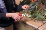 Felco 310 Snips can ship to you today at vlsmt.com!