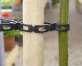 Pro-Lock Chain Lock Tree Tie safe and effective for tying trees or anything that needs supported in your yard or garden