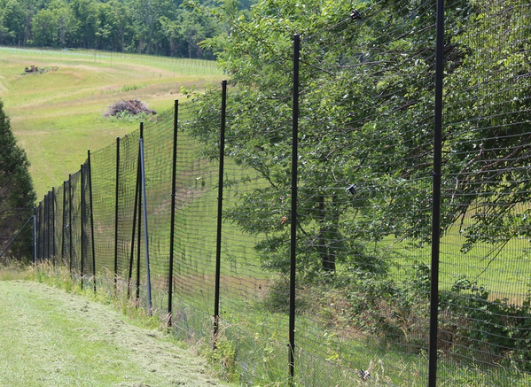 Heavy Duty Deer Fence - 6' x 330