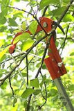Bahco Poles, Saws and Pruners for Trees - at vlsmt.com
